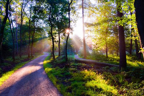 Loenen op de Veluwe.