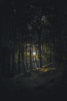 Défrichement des forêts
