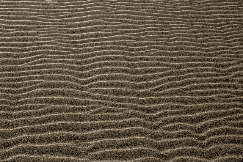 Transversal von Mario de Lijser