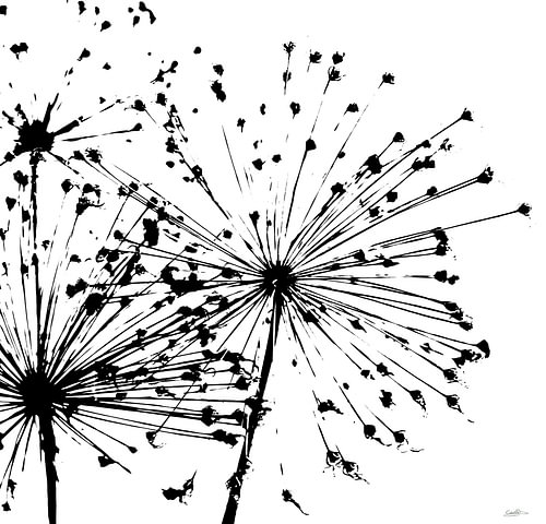 Moderne Blumen in Schwarz und Weiß