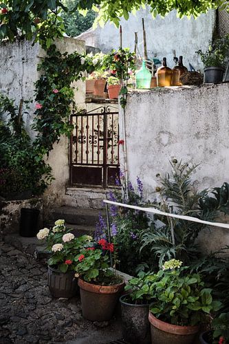 Garden in portuguese mountain village