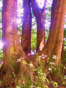 Geheimnis