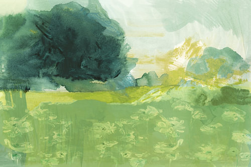 Abstract Meadow Light