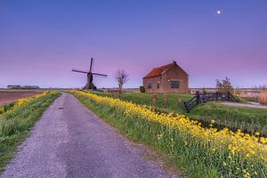 Raps