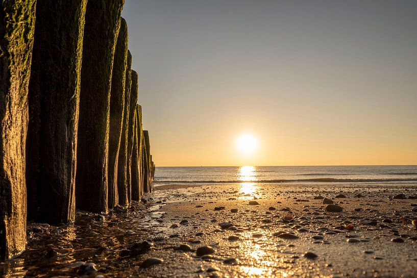 Golden sunset in zeeland, coast of netherlands by Loes Uijtdehaag