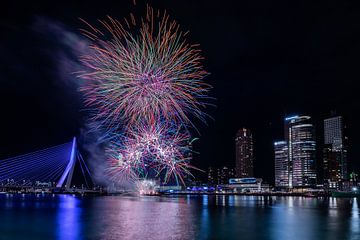 Rotterdam in vuur en vlam van Nicole Schmidt