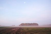 Kellerlandschaft kurz vor Sonnenaufgang
