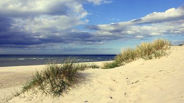 Les dunes en avril sur Ostsee Bilder
