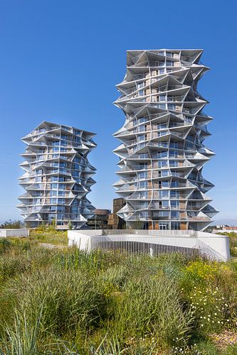 Cactus Towers Copenhagen by Sander Groenendijk