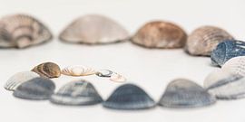 Spiraal by Geert-Jan Timmermans