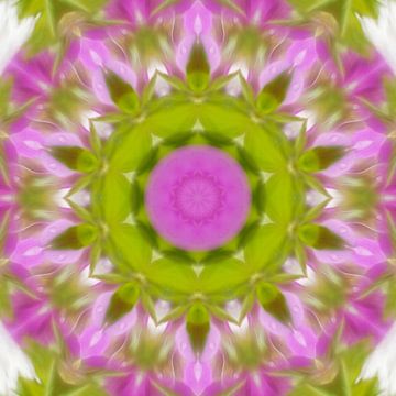 Mandala in sanften Farben von Steffi Hommel