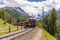 Bernina Express voor de Morteratschgletsjer in Zwitserland