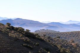 Blue mountains in Andalusia by Jan Katuin