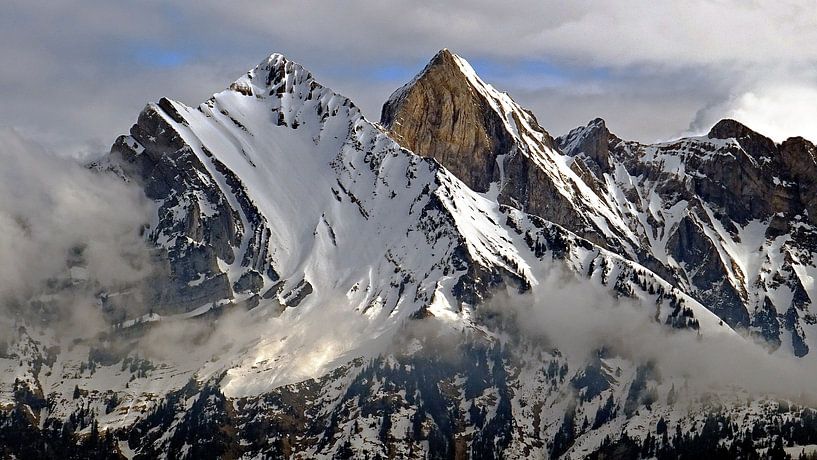 Besneeuwde Bergen par Daphne Photography