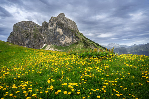 Zomerse berglente op de Aggenstein in het Allgäu