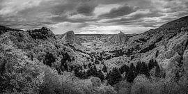 Paysage verdoyant en France en noir et blanc sur Manfred Voss, Photographie Noir et Blanc
