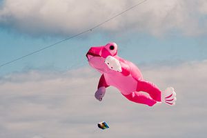 Sei kein Frosch