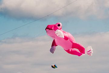 Sei kein Frosch von Heiko Westphalen