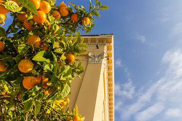 Fröhliche Orangen von Gerald Schuring