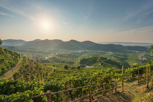 Prosecco Hills, wijngaarden panorama in de ochtend. Italië