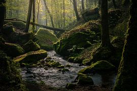 Müllerthal 2 von Geert Huyskens Photography