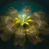Golden flavour van Bernardine de Laat