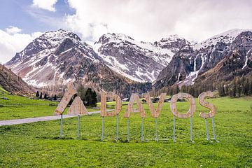 Grünes Gras und schneebedeckte Gipfel in Davos von Dafne Vos