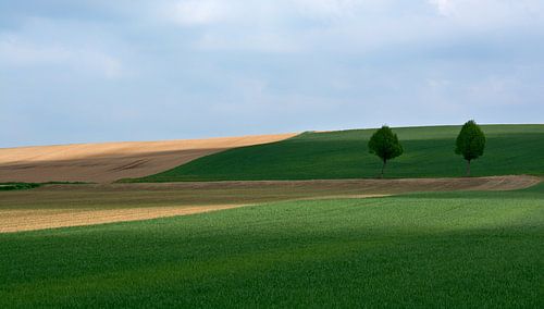 'Landschaft mit 2 Bäumen'.