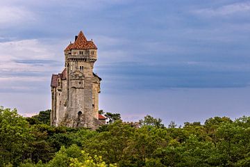 Kasteel van Liechtenstein van Roland Brack