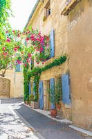 The house with blue shutters
