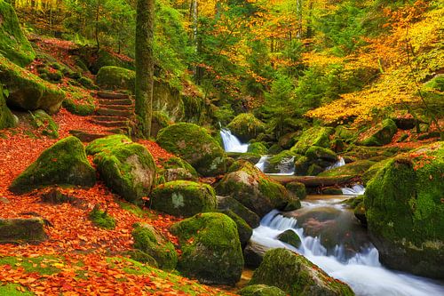 Huis van elfen en trollen