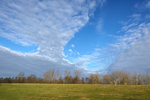 Niederländisches Flugfest