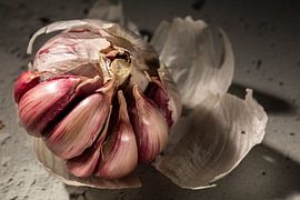 garlic bulb by Herman IJssel BWPHOTO