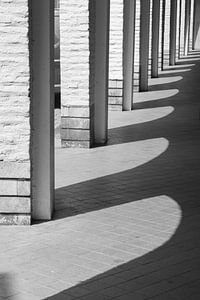 Tanz der Lichter