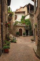 rustic idyllic street