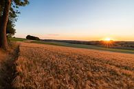Summer sunset over the rolling hills of Limburg by Kim Willems thumbnail