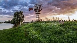 Anyway the wind blows.... von Francis de Beus