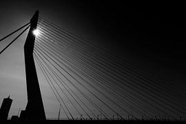 Erasmusbrug Rotterdam van Bert Weber