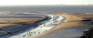 Westerschelde sur Ben Hell