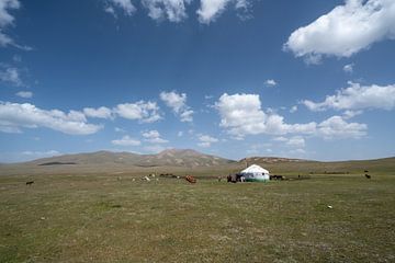 Yurt in Song Kul in Kirgizië