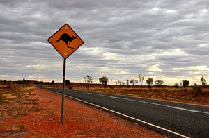 Auf dem Weg zum Kings Canyon: Auf dem Weg ins Unbekannte