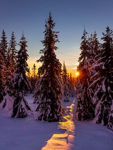 Ein Weg zur Sonne, Norwegen