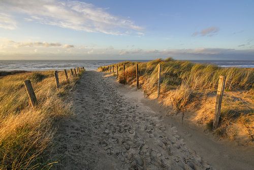 Duin en strand aan de kust van Nederland