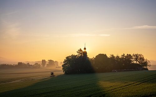 Thüringer weiden aan het begin van de dag, Eifel, Rijnland-Palts, Duitsland