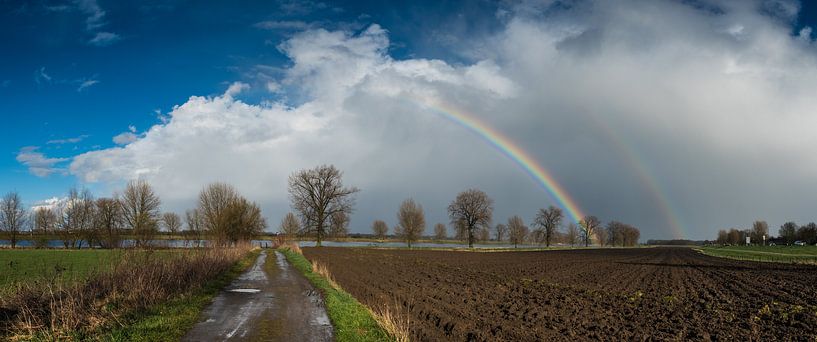 regen en zonneschijn van Lex Schulte