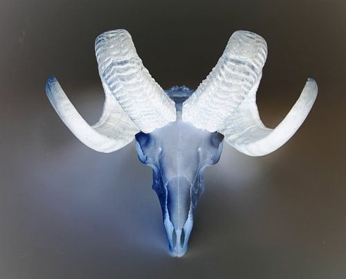 RAM
