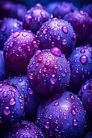 Nahaufnahme von lila Trauben mit Tautropfen von Art & Soul Creations