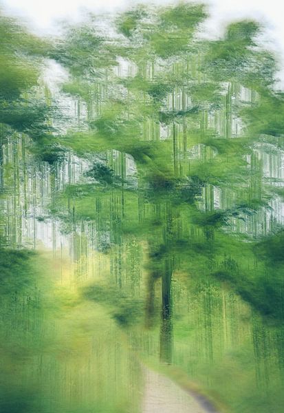 Wolfhezerheide part 127 by Tania Perneel