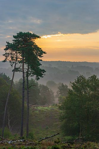 Posbank-Panorama Morgennebel von Klaas Doting