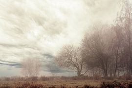 Mysterious morning at the edge of the forest by Marcel Kieffer